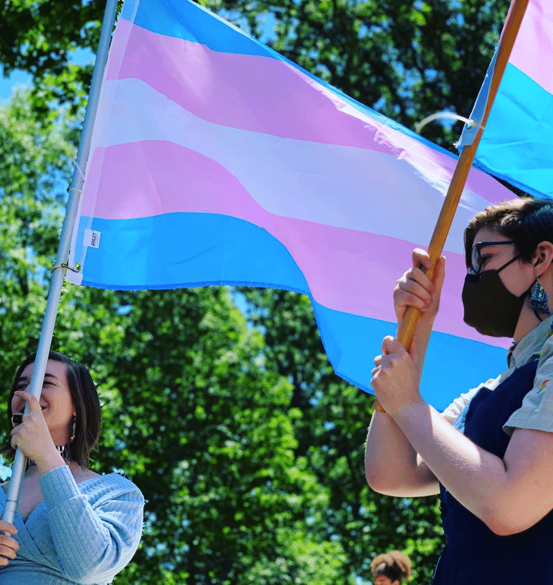 Two people holding trans flags at a Fair Wisconsin Protest to protect Gender Affirming Care in Wisconsin